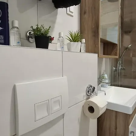 Luxury With Garage Apartment